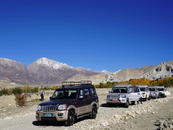 Mustang Overland Jeep 4x4 Tour