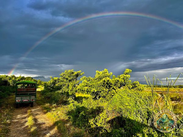 mustang motorbike tour