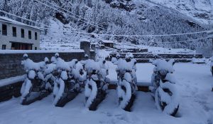 Best Motorcycle Tour in Nepal